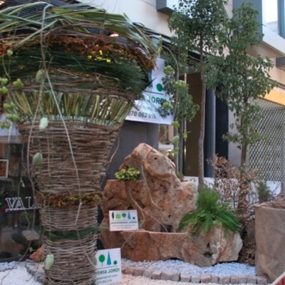 Decoracions i plantes de lloguer